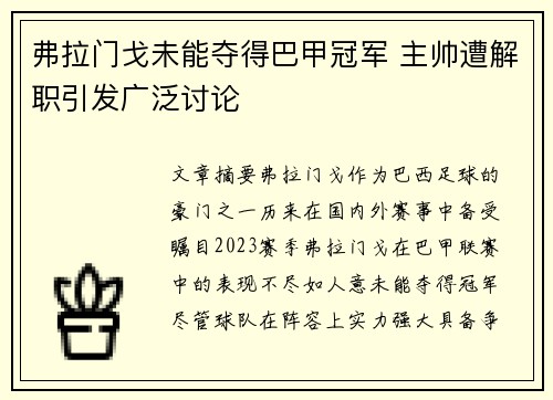 弗拉门戈未能夺得巴甲冠军 主帅遭解职引发广泛讨论